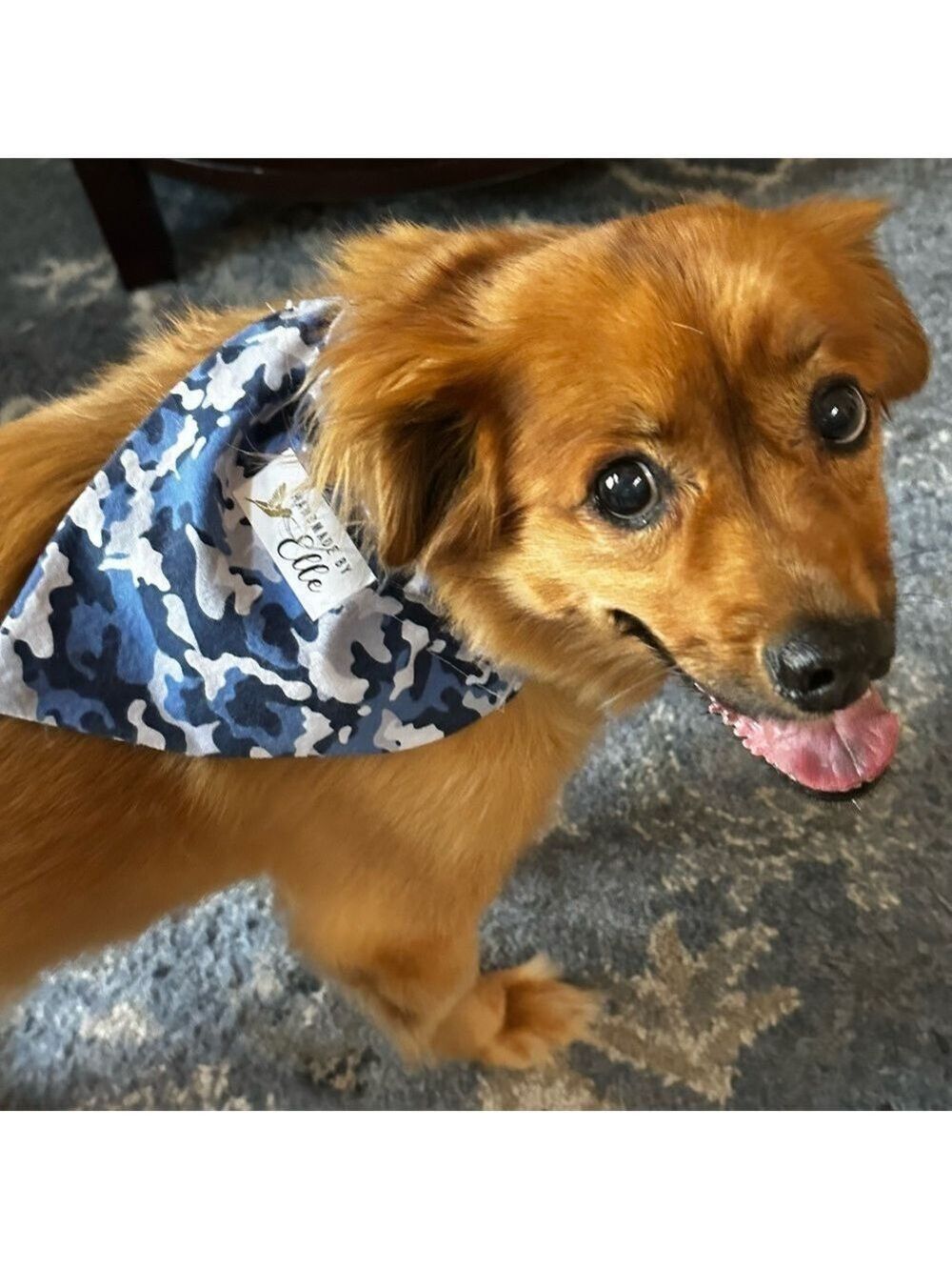 Dog Bandana Various Patterns